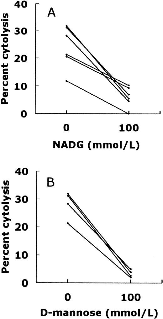 Fig. 7. Effect of NADG and D-mannose on the GM-CSF–stimulated neutrophil-mediated Lym-1 antibody-dependent cytolysis.51Cr-labeled Raji cells were at 2 × 104. The neutrophil-Raji cell ratio was 20:1. Lym-1 and GM-CSF were at 10 μg/mL and 1 ng/mL, respectively. The incubation time was 14 hours. (A) The lysis was 24.15 ± 7.72 (mean ± 1 SD, n = 6) with a median of 24.75 (confidence interval 95%, 10.06 to 32.25) in the absence of NADG and 6.08 ± 3.70 (mean ± 1 SD, n = 6) with a median of 6.20 (confidence interval 95%, 2.19 to 9.97) in the presence of 100 mmol/L NADG. Cytolysis in the absence versus that in the presence of NADG wasP = .0022. (B) The lysis was 28.12 ± 4.81 (mean ± 1 SD, n = 4) with a median of 29.70 (confidence interval 95%, 20.46 to 35.78) in the absence of D-mannose and 3.30 ± 1.31 (mean ± 1 SD, n = 4) with a median of 3.15 (confidence interval 95%, 1.22 to 5.38) in the presence of 100 mmol/L D-mannose. Cytolysis in the absence versus that in the presence of D-mannose was P = .028.