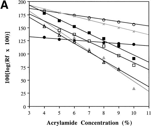 Fig. 5. Estimation of the mass of the HAF-1 complex. EMSA was performed as described in Materials and Methods, using the −68 to −30 bp gp91phox promoter probe and nuclear extract isolated from PLB985 cells. Furguson plot calculations were performed as described in Materials and Methods. (A) The mobility response slopes for each species, plotted as relative mobility (Rf) versus acrylamide concentration. Protein standards are as follows: (•) carbonic anhydrase (29 kD); (○) ovalbumin (45 kD); (×) bovine serum albumin (66 kD); (▪) bovine serum albumin dimer (132 kD); (□) alcohol dehydrogenase (150 kD); (▴) -amylase (200 kD). (▵) denotes the behavior of the HAF-1 complex. (B) The Furguson plot of the mobility response slopes presented in (A) versus mass. (•) The protein standards; (○) the HAF-1 complex.