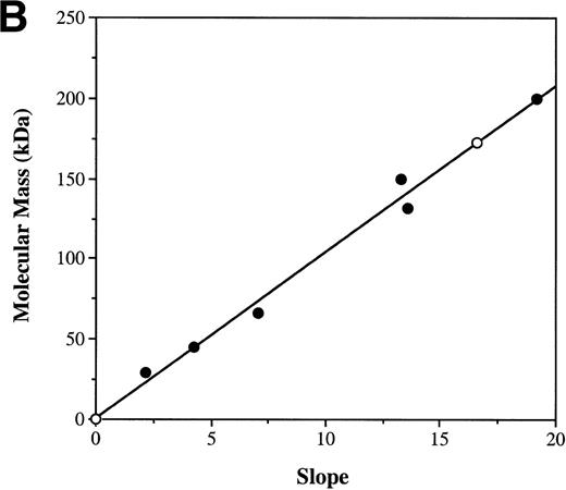 Fig. 5. Estimation of the mass of the HAF-1 complex. EMSA was performed as described in Materials and Methods, using the −68 to −30 bp gp91phox promoter probe and nuclear extract isolated from PLB985 cells. Furguson plot calculations were performed as described in Materials and Methods. (A) The mobility response slopes for each species, plotted as relative mobility (Rf) versus acrylamide concentration. Protein standards are as follows: (•) carbonic anhydrase (29 kD); (○) ovalbumin (45 kD); (×) bovine serum albumin (66 kD); (▪) bovine serum albumin dimer (132 kD); (□) alcohol dehydrogenase (150 kD); (▴) -amylase (200 kD). (▵) denotes the behavior of the HAF-1 complex. (B) The Furguson plot of the mobility response slopes presented in (A) versus mass. (•) The protein standards; (○) the HAF-1 complex.