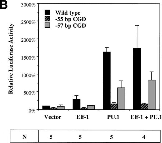Fig. 6. Elf-1 and PU.1 each transactivate the gp91phox promoter. HeLa cells (A) or PLB985 cells (B) were cotransfected with gp91phoxpromoter/luciferase reporter and expression vectors as described in Materials and Methods. Luciferase vectors contained either the wild-type −102 to +12 bp gp91phox promoter or the same promoter fragment into which the −57 bp or −55 bp CGD mutations were introduced. The expression vector that was cotransfected with the luciferase vector is indicated below the graph. Data are presented as the mean ± standard deviation. The number of independent experiments (N) performed for each cotransfection is indicated below, and three different plasmid preparations of each construct were tested.