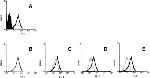 Fig. 2. Inhibition of M112 MoAb binding by IL-15. MONO-MAC-6 cells were preincubated for 30 minutes at 4°C with medium (A), 0.01 μg (B), 0.1 μg (C), 1 μg (D), or 10 μg (E) of human recombinant IL-15 and then stained with M112 MoAb as described in Fig 1. Open histograms with a bold line represent M112 staining; open histograms with a gray line represent the residual staining after preincubation with IL-15; and solid histograms refer to the background fluorescence.