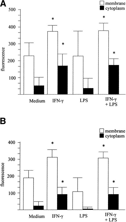 Fig. 3. IFN-γ upregulates IL-15 expression. The membrane and cytoplasmic forms of IL-15 were evaluated by FACS analysis. Human peripheral blood monocytes (A) and MONO-MAC-6 cells (B) were treated with IFN-γ, LPS, or LPS + IFN-γ or left untreated and were stained with the M112 MoAb as described in Materials and Methods. The mean ± SD from three independent experiments is shown. Significance was analyzed by comparison between treated and untreated cells with z-test (*P < .001). (C) cDNA derived from MONO-MAC-6 cells incubated for 6 hours with medium alone or supplemented with IFN-γ, LPS, or LPS plus IFN-γ were amplified with primers specific for IL-15. β-actin served as the control.