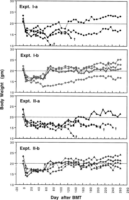 Fig. 1. Changes of body weight after transplantation of lethally irradiated BALB/c mice with 5 × 106 bone marrow cells and either 2.5 × 105 (Experiment I) or 4 × 105 (Experiment II) spleen MNL from naive (Experiment Ia and IIa) or tolerant (Experiment Ib and IIb) CBA mice. There were four mice in each group. (†): Death of transplanted BALB/c mouse.