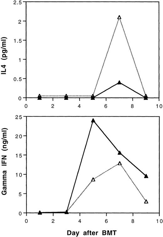 Fig. 8. Serum IL-4 and gamma interferon levels after transplantation of lethally irradiated BALB/c mice with 5 × 106 bone marrow and 4 × 105 spleen cells from naive (▴) or tolerant (▵) CBA mice. Three recipient mice from each treatment group were sacrificed every other day and equal volumes of serum samples were pooled for the assays. The sera were assayed in duplicate. Variations between duplicates were less than 17%. Similar results were obtained when the experiment was repeated.
