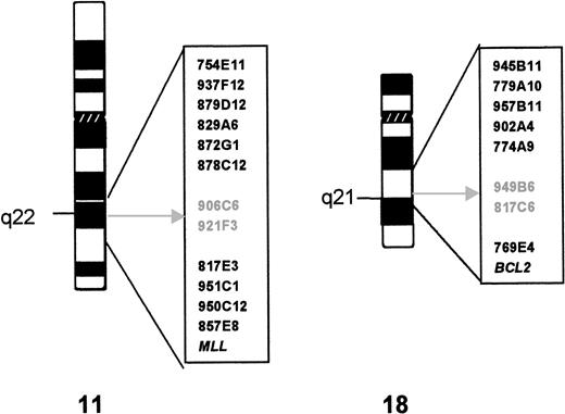 Fig. 1. Cytogenetics and YAC characterization of the t(11;18). The YAC clones used in FISH analysis are indicated to the right of the ideogram of each chromosome. The breakpoint is indicated by an arrow; the YAC clones that yield split signals in both cases are in gray.