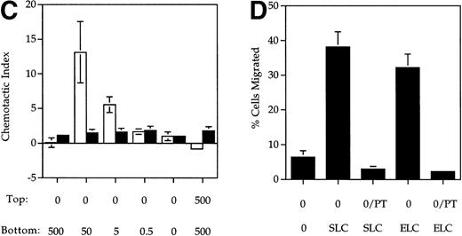 Fig. 1. SLC and ELC but not RANTES induced chemotaxis of mature DC. (A and B) Migration of human monocyte-derived DC matured with MCM (▪) or TNF- (▨) compared to untreated immature cells (□), in response to the indicated concentrations (in ng/mL) of (A) SLC or (B) ELC. The percent migration (±SE) is based on the number of cells added to the top chamber. (C) Migration of MCM-treated mature DC or untreated (immature) DC in response to the indicated concentrations (in ng/mL) of RANTES. Chemotactic index is the ratio of the number of cells in the bottom chamber in the test case to the number of cells in the absence of the chemokine. (D) Preincubation with 100 ng/mL pertussis toxin (PT) inhibited SLC-induced migration of MCM-treated mature DC. These results are representative of at least three independent experiments.