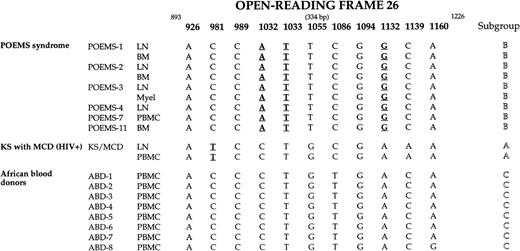 Fig. 4. Sequence variability and similarity between the nucleotides 893 to 1226 of the ORF26 of HHV-8 genome among HHV-8+ samples from 6 patients with POEMS syndrome, 1 HIV-infected patient with Kaposi’s sarcoma (KS) and multicentric Castleman’s disease (MCD) (patient KS/MCD), and 8 healthy African blood donors (ABD). Only nucleotides of the 11 identified variable positions are included. All nucleotides at the other unvariable positions are similar to those reported in the original sequence KSHV AIDS (GenBank U40377) initially published by Chang et al.3The positional nomenclature used for ORF26 follows that of Chang et al.3 Bold and underlined nucleotide substitutions at positions 1032, 1033, and 1132 (patients with POEMS syndrome) and 981 (patient KS/MCD) lead to amino acids changes. BM, bone marrow; LN, lymph node; Myel, myeloma.