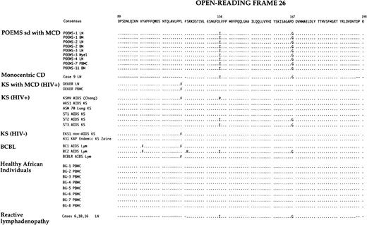 Fig. 6. Multiple alignments of inferred amino acid sequences from ORF26 nucleotides sequences of HHV-8 detected in tissue samples from 6 patients with POEMS syndrome, 1 HIV-infected patient with Kaposi’s sarcoma and multicentric Castleman’s disease (KS/MCD), 8 healthy African blood donors (ABD), and 14 sequences previously published, including the 12 precedently used for phylogenetic analysis (KSHV AIDS, ST1 AIDS KS, ST2 AIDS KS, ST3 AIDS KS, C282 AIDS KS, ASM70 Lung KS, AKS1 AIDS KS, 431 KAP Endemic KS, EKS1 non-AIDS KS, BCBL-1, BCBL2, and BCBLR AIDS Lym), 1 sequence from an HIV− patient with monocentric Castleman’s disease (case 9),43 and sequences of HHV-8 detected in three cases of reactive lymphadenopathy (cases 6, 10, and 16).45 By comparison with the 111 amino acid consensus sequence of ORF26 deduced from these latter sequences, the base changes of HHV-8 in patients with POEMS syndrome at positions 1032 and 1033 encode a lysine to isoleucine substitution in codon 134, and the base change at position 1132 encodes an aspartate to glycine substitution in codon 167. The positional nomenclature used for ORF26 amino acid sequences follows that of Chang et al.3 Hyphens (-) indicate sequence homology, and dots (·) indicate gaps introduced for optimal alignment. Single-letter abbreviations for the amino acid residues are: A, Ala; C, Cys; D, Asp; E, Glu; F, Phe; G, Gly; H, His; I, Ile; K, Lys; L, Leu; M, Met; N, Asn; P, Pro; Q, Gln; R, Arg; S, Ser; T, Thr; V, Val; W, Trp; and Y, Tyr. BM, bone marrow; KS, Kaposi’s sarcoma; Lym, lymphoma; LN, lymph node; Myel, myeloma.