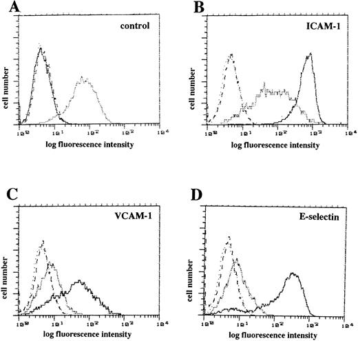 Fig. 3. Flow cytometric analysis of endothelial adhesion molecule after IκB- overexpression. (A) Untreated HUVEC were stained with MoAbs to ICAM-1 (stippled line), VCAM-1 (dashed line), E-selectin (dotted line), and isotype control (solid line). (B through D) Cells stimulated with TNF- (100 U/mL) for 4 hours were stained with MoAbs (solid line) to ICAM-1 (B), VCAM-1 (C), E-selectin (D), or isotype control (B through D, dotted lines). Cells infected with rAd.IκB- and stimulated with TNF- (100 U/mL for 4 hours) were stained with MoAbs (stippled line) to ICAM-1 (B), VCAM-1 (C), E-selectin (D), or isotype control (B through D, dashed lines). Shown is a representative experiment.
