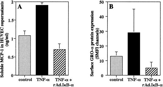 Fig. 5. Endothelial production of chemokines. HUVEC were left untreated, were infected with rAd.IκB- and/or stimulated with TNF- (100 U/mL) for 4 hours. (A) Quantification of soluble MCP-1 was performed by ELISA. Data are the mean ± SD of three separate experiments performed in duplicate. (B) Flow cytometric analysis was performed to quantitate the amount of surface-associated GRO-. Data are the mean ± SD of three separate experiments.