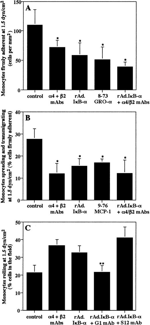 Fig. 7. Effects of adenoviral-mediated IκB- expression on firm arrest, transmigration, and rolling of isolated blood monocytes on endothelial cells under physiological flow conditions. HUVEC were left untreated or were infected with rAd.IκB- and were stimulated with TNF- (100 U/mL) for 4 hours. Monocytes were perfused at a constant flow rate of 1.5 dyn/cm2 after pretreatment with or without MoAbs to 4 and β2, 8-73 GRO-, or 9-76 MCP-1 peptide analogues (1 μg/mL each) for 30 minutes on ice before being perfused. (A) The firm attachment of monocytes to HUVEC was determined by counting the number of cells attached per field after a 5-minute period. (B) Cells undergoing spreading or transmigration were counted after 5 minutes and expressed as the percentage of cells initially attached. (C) The number of rolling cells within the field was counted in the last 30 seconds of the 5-minute period and was expressed as the percentage of cells interacting with endothelium. HUVEC were pretreated with a blocking (G1) or nonblocking P-selectin (S12) MoAb for 30 minutes at 37°C. Data are the mean ± SD of at least three independent experiments. *P < .05 versus uninfected control. **P < .05 versus rAd.IκB-–infected HUVEC.