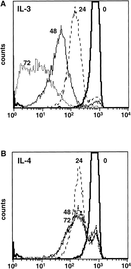 Fig. 1. IL-4 is not a growth factor in Ba/F3 cells. Ba/F3 cells were labeled with the fluorescent dye PKH26. Immediately after labeling, incorporation of the dye was analyzed by flow cytometry (time 0). Cells were cultured in complete media supplemented with (A) IL-3 or (B) IL-4 and aliquots of cells were analyzed by flow cytometry at 24, 48, and 72 hours to determine the amount of dye dilution.
