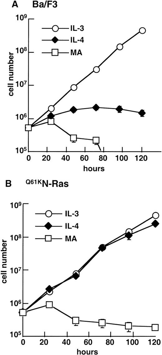 Fig. 2. Activated Q61KN-Ras in combination with IL-4 stimulates the long-term growth of Ba/F3 cells. (A) Ba/F3 or (B)Q61KN-Ras cells were washed free of IL-3 and incubated in IL-3, IL-4, or media alone with no factor (MA) at a density of 1 × 105 cells/mL. Cells were counted in triplicate at the indicated times and diluted as appropriate to maintain a consistent density of cells. The results are representative of two independent experiments, with two independent clones. Error bars represent the SEM of triplicate samples.