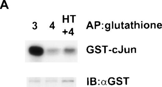 Fig. 7. Failure to detect an autocrine factor that can activate JNK in a cell-mixing experiment. Cells (1 × 106 Ba/F3) expressing GST-JNK1 were mixed together with 1 × 107▵Raf-1:ER cells and stimulated for 16 hours at 37°C in RMPI, 10% FCS with either IL-3 (3), IL-4 (4), or IL-4 plus 100 nmol/L 4HT (4 + HT). (A) GST-JNK1 was affinity purified (AP) from the mixed cell lysate with glutathione Sepharose beads, and the activity was determined in vitro assay by using GST-cJun as a substrate. After SDS-PAGE and autoradiography, the membrane was immunoblotted with antibodies against GST to assess equivalency of loading (GST). (B) After the lysate had been cleared with glutathione Sepharose, endogenous JNK was IP with anti-JNK1 antibodies, and the kinase activity was determined in vitro by using GST-cJun as a substrate. After SDS-PAGE and autoradiography, the membrane was immunoblotted with antibodies against JNK1 (JNK) to assess equivalency of loading.