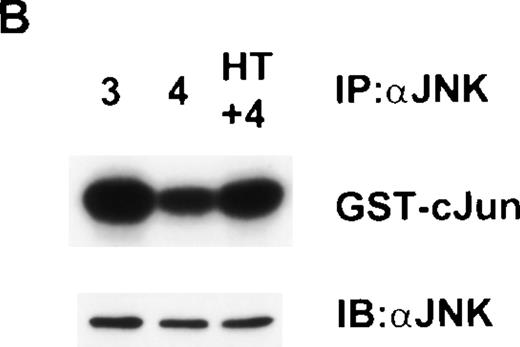 Fig. 7. Failure to detect an autocrine factor that can activate JNK in a cell-mixing experiment. Cells (1 × 106 Ba/F3) expressing GST-JNK1 were mixed together with 1 × 107▵Raf-1:ER cells and stimulated for 16 hours at 37°C in RMPI, 10% FCS with either IL-3 (3), IL-4 (4), or IL-4 plus 100 nmol/L 4HT (4 + HT). (A) GST-JNK1 was affinity purified (AP) from the mixed cell lysate with glutathione Sepharose beads, and the activity was determined in vitro assay by using GST-cJun as a substrate. After SDS-PAGE and autoradiography, the membrane was immunoblotted with antibodies against GST to assess equivalency of loading (GST). (B) After the lysate had been cleared with glutathione Sepharose, endogenous JNK was IP with anti-JNK1 antibodies, and the kinase activity was determined in vitro by using GST-cJun as a substrate. After SDS-PAGE and autoradiography, the membrane was immunoblotted with antibodies against JNK1 (JNK) to assess equivalency of loading.