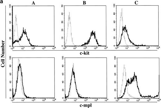 Fig. 3. Expression of c-kit and c-mpl in CD34+ BM cells and cultured mast cells grown by SCF + TPO. The expression of c-kit and c-mpl in CD34+ BM cells and 15-week-old cultured cells grown by SCF + TPO were examined using (a) flow cytometric analysis and (b) RT-PCR analysis. Day 10 megakaryocytic cells generated by TPO alone from CD34+ cord blood cells were used as positive controls. (a) Flow cytometric analysis: (A), CD34+ BM cells; (B), 15-week-old cultured cells grown by SCF + TPO; (C), Day 10 cultured CD41+ cells grown by TPO. (—), labeled with PE-conjugated anti–c-kit MoAb or anti–c-mpl MoAb followed by FITC-conjugated GAM. (---), labeled with PE-conjugated mouse IgG1 or control mouse IgG1 followed by FITC-conjugated GAM. The abscissa shows the fluorescence intensity of each surface marker, and the ordinate shows the number of cells. (b) RT-PCR analysis: lane 1, no RNA; lane 2, CD34+ BM cells; lane 3, cultured c-kit+ cells grown by SCF + TPO; lane 4, cultured CD41+ cells grown by TPO.