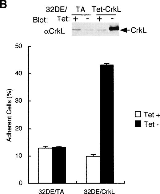 Fig. 1. Overexpression of CrkL increases adhesion of 32D cells. (A) Morphology of 32D cells overexpressing CrkL. A clone of 32D/EpoR-Wt cells stably transfected with the expression plasmid for tetracycline transactivator alone (32DE/TA) or a clone also transfected with pTet-CrkL (32DE/Tet-CrkL) was cultured in the presence (+) or absence (−) of 100 ng/mL of tetracycline (Tet), as indicated, for 24 hours and photographed under an inverted microscope (Olympus, Tokyo, Japan). (B) Adhesion of CrkL-overexpressing 32D cells to fibronectin. 32DE/TA and 32DE/Tet-CrkL cells were cultured in the presence (+) or absence (−) of Tet, as indicated, for 24 hours and allowed to attach to wells coated with 10 μg/mL fibronectin for 30 minutes at 37°C in the presence of IL-3. The extent of cell adhesion was quantitated as described in Materials and Methods. The data represent averages ± SD of triplicate determinations. Anti-CrkL immunoblotting of cell lysates obtained under the same conditions is also shown. (C) Effect of fibronectin concentration on adhesion of CrkL-overexpressing 32D cells. 32DE/Tet-CrkL cells, cultured with or without tetracycline, as indicated, were allowed to attach to wells coated with indicated concentrations of fibronectin for the cell adhesion assay. (D) Effect of cytokines on adhesion of CrkL-overexpressing 32D cells. 32DE/Tet-CrkL cells were cultured with or without tetracycline, as indicated, for 24 hours. During the last 16 hours, cells were cultured with 1 U/mL Epo (Epo), 5 ng/mL IL-3 (IL-3), or without any cytokine (−), as indicated. Cells were allowed to attach to wells coated with 10 μg/mL fibronectin for the cell adhesion assay in the presence or absence of cytokine, as indicated.