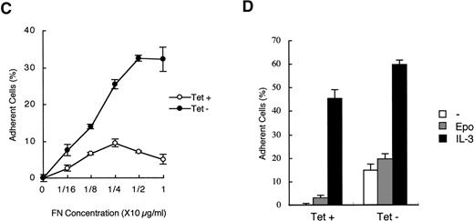 Fig. 1. Overexpression of CrkL increases adhesion of 32D cells. (A) Morphology of 32D cells overexpressing CrkL. A clone of 32D/EpoR-Wt cells stably transfected with the expression plasmid for tetracycline transactivator alone (32DE/TA) or a clone also transfected with pTet-CrkL (32DE/Tet-CrkL) was cultured in the presence (+) or absence (−) of 100 ng/mL of tetracycline (Tet), as indicated, for 24 hours and photographed under an inverted microscope (Olympus, Tokyo, Japan). (B) Adhesion of CrkL-overexpressing 32D cells to fibronectin. 32DE/TA and 32DE/Tet-CrkL cells were cultured in the presence (+) or absence (−) of Tet, as indicated, for 24 hours and allowed to attach to wells coated with 10 μg/mL fibronectin for 30 minutes at 37°C in the presence of IL-3. The extent of cell adhesion was quantitated as described in Materials and Methods. The data represent averages ± SD of triplicate determinations. Anti-CrkL immunoblotting of cell lysates obtained under the same conditions is also shown. (C) Effect of fibronectin concentration on adhesion of CrkL-overexpressing 32D cells. 32DE/Tet-CrkL cells, cultured with or without tetracycline, as indicated, were allowed to attach to wells coated with indicated concentrations of fibronectin for the cell adhesion assay. (D) Effect of cytokines on adhesion of CrkL-overexpressing 32D cells. 32DE/Tet-CrkL cells were cultured with or without tetracycline, as indicated, for 24 hours. During the last 16 hours, cells were cultured with 1 U/mL Epo (Epo), 5 ng/mL IL-3 (IL-3), or without any cytokine (−), as indicated. Cells were allowed to attach to wells coated with 10 μg/mL fibronectin for the cell adhesion assay in the presence or absence of cytokine, as indicated.