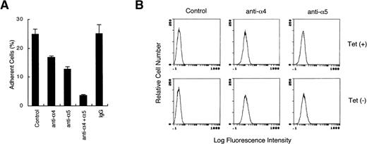 Fig. 2. CrkL increases adhesion of 32D cells to fibronectin by activating VLA-4 and VLA-5. (A) Antibodies against VLA-4 and VLA-5 inhibit adhesion of CrkL-overexpressing 32D cells to fibronectin. 32DE/Tet-CrkL cells were cultured for 24 hours in the absence of tetracycline and allowed to attach to wells coated with 10 μg/mL fibronectin in the absence (Control) or in the presence of indicated anti-integrin MoAbs or irrelevant MoAb (IgG), as indicated. The extent of cell adhesion was quantitated as described in Materials and Methods. (B) Analysis of VLA-4 and VLA-5 expression in 32DE/Tet-CrkL cells by flow cytometry. 32DE/Tet-CrkL cells were cultured in the presence (upper panels) or absence (lower panels) of tetracycline for 24 hours and stained with indicated anti-integrin MoAbs or left unstained as control (Control), as indicated. Cells were further stained with fluorescein-labeled secondary antibody and subjected to flow cytometry.