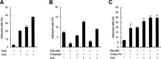 Fig. 5. Effects of C3G and various mutant signaling molecules on adhesion of 32D cells. (A) Effects of overexpression of C3G on adhesion of 32D cells to fibronectin. 32D/EpoR-Wt cells were transfected with 30 μg of pcDNA-C3G (C3G) and 10 μg of pSG-CrkL (CrkL), as indicated, along with 1 μg of pRL-SV. The total amount of expression plasmids for each transfection was adjusted to become equal by addition of pcDNA3. Transiently transfected cells were subjected to the cell adhesion assay as described in Materials and Methods. (B) Effects of dominant negative mutants of C3G and R-Ras on adhesion of 32D cells to fibronectin. 32D/EpoR-Wt cells were transfected with 40 μg of pcDNA-C3G-dSS (C3G-dSS) or pcDNA-R-Ras43N (R-Ras43N) and 5 μg of pSG-CrkL (CrkL), as indicated, along with 1 μg of pRL-SV. Transiently transfected cells were subjected to the cell adhesion assay. (C) Effects of dominant negative mutants of Raf-1 and H-Ras on adhesion of 32D cells to fibronectin. 32D/EpoR-Wt cells were transfected with 35 μg of pcDNA-Raf-dSE (Raf-dSE) or pcDNA-H-Ras17N (H-Ras17N) and 5 μg of pSG-CrkL (CrkL), as indicated, along with 1 μg of pRL-SV. Transiently transfected cells were subjected to the cell adhesion assay.