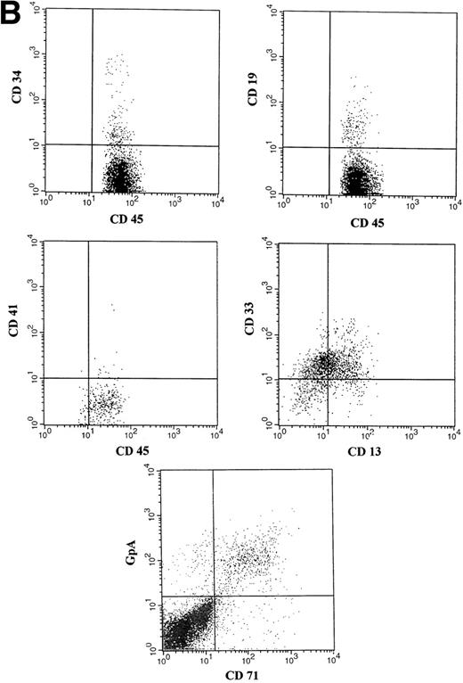 Fig. 2. (A) Representative fluorescence-activated cell sorting (FACS) profiles of marrow cells from NOD/SCID mice transplanted 8 weeks previously with unmanipulated CD34+ CB cells. (a) Negative control: a nonengrafted mouse (transplanted with 2 × 105 irradiated CD34− CB carrier cells). (Middle) A mouse transplanted with 1 × 105CD34+ CB cells. (Bottom) A mouse transplanted with 2 × 104 CD34+ cells. CD45/CD34 and CD45/CD19 analysis was performed on total BM cells. (B) Multilineage engraftment in the BM of a representative mouse transplanted with 1 × 105 unmanipulated CD34+ CB cells. Analysis of lineage markers (CD45/CD34, CD19, CD41, and CD13/CD33) was performed on cells comprised within the CD45 gate. Analysis of GpA/CD71-positive cells was performed on total BM cells.
