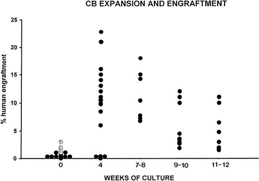 Fig. 3. Engraftment of human CB CD34+cells at start of cultures and of their progeny after 4 to 12 weeks of expansion. The level of human engraftment was evaluated by flow cytometry by determining the percent of human CD45+, CD71+, and GpA+ cells within the total BM cells in individual NOD/SCID mice. Each animal was injected either with unmanipulated CD34+ CB cells (2 × 104, •; 3.5 × 104, ○) either with the cells generated by initial 2 × 104 or 3.5 × 104CD34+ cells after 4, 7 to 8, 9 to 10 or 12 weeks of cultures as described in Materials and Methods. Each circle represents an individual mouse.