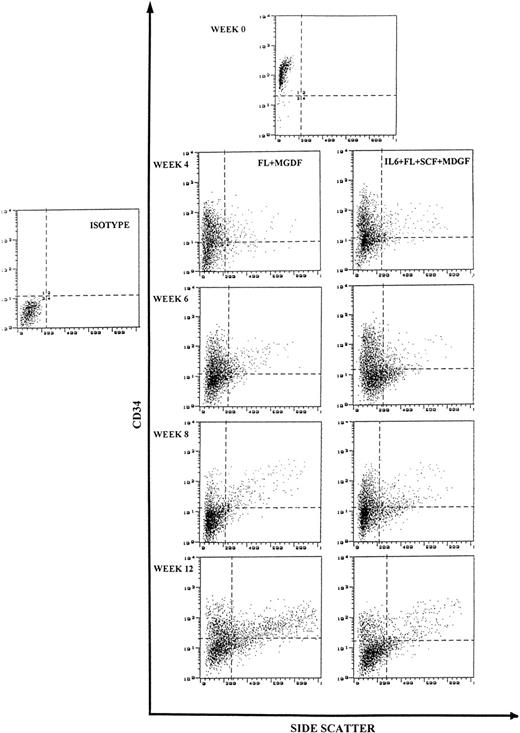 Fig. 5. Analysis of CD34 antigen expression on CB CD34+ cells at start of cultures (week 0) and at weeks 4, 6, 8, and 12 of ex vivo expansion in stroma-free cultures supplemented with FL+ MGDF and IL6+SCF+FL+MGDF.