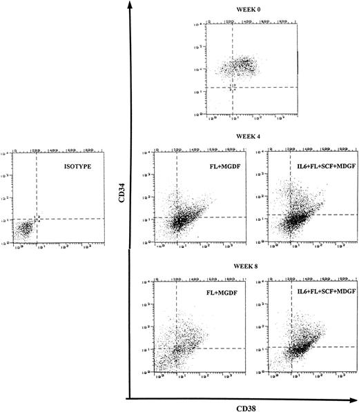 Fig. 6. Analysis of CD34 and CD38 antigen expression on CD34+ CB cells at start of cultures (week 0) and after 4 and 8 weeks of expansion in stroma-free cultures supplemented with FL+ MGDF and IL6+SCF+FL+MGDF.