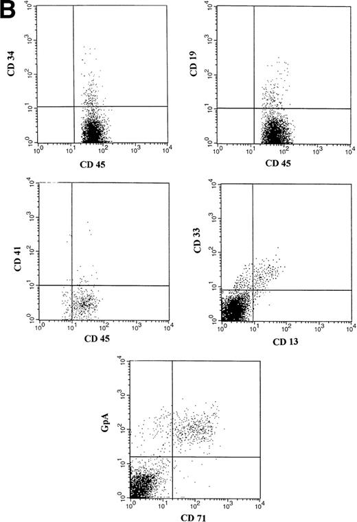 Fig. 7. (A) Representative FACS profiles of marrow cells from individual NOD/SCID mice transplanted 8 weeks previously with cells deriving from 3.5 × 104 CD34+ CB cells after a 10-week expansion in stroma-free cultures containing IL-6, SCF, FL and MGDF. From top to bottom: isotype control and (a) a nonengrafted mouse. Human CD45/CD34 and CD45/CD19 in the BM cells of a mouse transplanted with 1/8, 1/25, and 1/70 of the cell progeny deriving from 3.5 × 104 initial CD34+ cells. CD45/CD34 and CD45/CD19 analysis was performed on total BM cells. (B) Multilineage engraftment in the BM of a representative mouse transplanted with week 10 expanded cells (deriving from 2 × 104 initial CD34+ cells). Analysis of lineage markers (CD45/CD34, CD19, CD41, and CD13/CD33) was performed on cells comprised within the CD45 gate. Analysis of GpA/CD71 cells was performed on total BM cells.