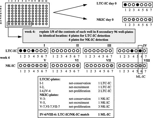 Fig. 1. Single cell cultures. Lin−/34+/DRdim cells were sorted into 88 wells of 96-well plates with AFT024 stromal feeders using the FACS Star Plus ACDU system. Cells were cultured as indicated with weekly medium exchange. After 4 weeks, the content of each well was collected by trypsinization and divided equally over 8 secondary 96-well plates with pre-established AFT024 feeders in such a manner that one eighth of the content was deposited in the identical location in the 8 secondary plates, 4 for LTC-IC detection and 4 for NK-IC detection. To detect LTC-IC/NK-IC at day 0, single cells were cultured in 96-well plates containing AFT024 feeders for 5 weeks, and plates were overlaid with clonogenic methylcellulose. To detect NK-IC at day 0, single cells were cultured in separate 96-well plates containing AFT024 feeders as described in Materials and Methods. An ML-IC is defined as a single Lin−/34+/DRdim cell with multilineage generative capacity, ie, this cell can generate at least one LTC-IC and one NK-IC.
