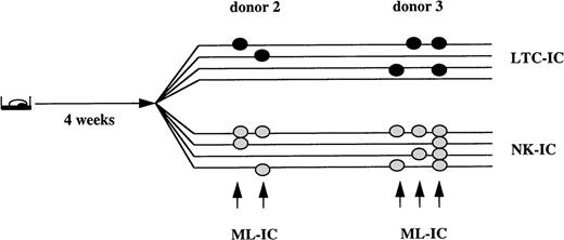 Fig. 2. 0.8% to 1.7% of Lin−/34+/DRdim cells are myeloid-lymphoid initiating cells. Progeny from single Lin−/34+/DRdim cells cultured on AFT024 in expansion medium with Flt3-L, SCF, and IL-7 were replated after 4 weeks in 8 secondary plates. Four secondary plates were maintained in expansion medium with Flt3-L, SCF, and IL-7 to enumerate LTC-IC. The remaining 4 secondary plates were maintained in lymphoid differentiation medium to detect NK-IC. Lin−/34+/DRdim cells that generated ≥1 LTC-IC (black circles) and ≥1 NK-IC (gray circles) were identified as ML-IC.