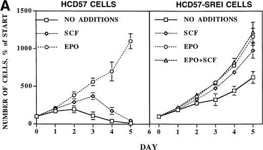 Fig. 1. Proliferation and survival of HCD57 and HCD57-SREI cells. (A) The cells were cultured in the indicated factor, 1 U EPO/mL, 100 ng SCF/mL, a combination of 100 ng SCF and 1 U EPO/mL, or no added factors in medium containing 25% fetal calf serum. At the indicated day after culture, viable cells were counted in the presence of trypan blue. Error bars indicate the standard deviation from triplicate measurements. (B) HCD57-SREI cells have escaped apoptosis in the absence of EPO. HCD57 cells and HCD57-SREI cells were cultured in the presence of 1 U EPO/mL (+) absence of EPO (−) for 72 hours. The genomic DNA was isolated and analyzed for fragmentation of DNA characteristic of apoptosis as described previously.5