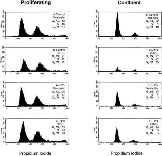 Fig. 1. Cell-cycle analysis of E-selectin-positive HDMECs. Proliferating (A through D) and confluent (E through H) HDMECs were treated without (Control; A, B, E, and F) or with 0.2 μg/mL LPS (LPS; C, D, G, and H) for 4 hours. Cells were analyzed for E-selectin expression and distribution in G0/G1 and S to G2/M as described in Materials and Methods. (A, C, E, and G) Histograms of DNA content (ie, propidium iodide staining) for the total cell population. (B, D, F, and H) Histograms of DNA content in E-selectin–positive cells (FITC+). The percent distribution of cells in different phases of the cell cycle (G0/G1, S, G2/M) is shown for each panel.