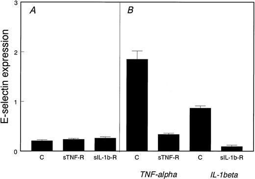 Fig. 2. Noninflammatory expression of E-selectin in proliferating HDMECs. (A) E-selectin was measured by ELISA in proliferating HDMECs incubated for 2 days in the absence (C) or presence of soluble TNF-–receptor (sTNF-R) or soluble IL-1β–receptor (sIL-1b-R). (B) As a positive control, HDMECs were stimulated with either TNF- or IL-1β for 4 hours in the absence (C) or presence of the corresponding soluble receptor antagonist.