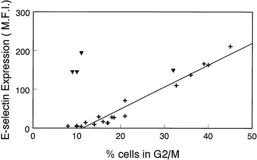 Fig. 4. Linear relationship between ▵ MFI of cells incubated with anti–E-selectin MoAb and percentage of cell population in G2/M. ▵MFI versus the percentage of HDMEC in G2/M was plotted in a scatter graph format. Cells were nonstimulated (+) or treated with 0.2 μg/mL LPS for 16 hours (▾). Data from 17 experiments, including those shown in Fig 1 and Table 1, were used for this analysis.