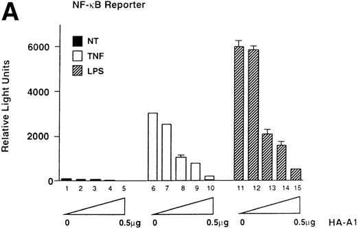 Fig. 2. A1 inhibits NF-κB reporter activity. (A) Inhibition is upstream of p65-mediated transactivation, (B) and is comparable to that achieved with Bcl-2; (C) A1 expression does not inhibit the NF-κB–independent reporter, HIV-▵κB CAT (D). (A) BAEC were transfected with the HA-A1 expression plasmid titrated (0, 1 ng, 10 ng, 0.1 μg, or 0.5 μg) with pcDNA3 to equal 0.5 μg of DNA together with the NF-κB (0.7 μg) and β-gal (0.3 μg) reporters. Forty-eight hours after transfection, cells were stimulated with either TNF (100 U/mL) (lanes 6 through 10) or LPS (100 ng/mL) (lanes 11 through 15) for 7 hours. Data shown are representative of six experiments. (B) BAEC were cotransfected with 0.5 μg of pcDNA3 or HA-A1 expression plasmid along with NF-κB reporter (0.7 μg), β-gal reporter (0.3 μg) and in the presence of increasing amounts of p65 expression plasmid ranging from 0 to 100 ng. Data shown represent the fold induction of the NF-κB reporter luciferase activity by increasing amount of cotransfected p65. Data shown are representative of three experiments performed. (C) BAEC were cotransfected with 0.5 μg of pAC or murine Bcl-2 expression plasmid along with NF-κB reporter (0.7 μg), β-gal reporter (0.3 μg), and increasing amounts of p65 expression plasmid ranging from 0 to 100 ng. Data shown represent the fold induction of the NF-κB reporter luciferase activity by increasing amount of cotransfected p65. Data shown are representative of two experiments performed. (D) BAEC were cotransfected with 0.5 μg of pcDNA3 or HA-A1 together with 0.6 μg of an HIV-▵κB CAT reporter in the absence (−) or presence of 0.2 μg (+) of the viral protein c-Tat. Results are given in cpm ± SE. All error bars are ± SE. Data shown are representative of three experiments performed.