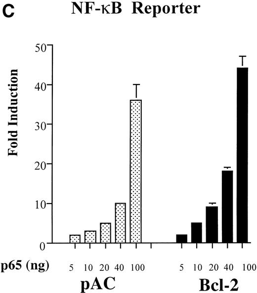 Fig. 2. A1 inhibits NF-κB reporter activity. (A) Inhibition is upstream of p65-mediated transactivation, (B) and is comparable to that achieved with Bcl-2; (C) A1 expression does not inhibit the NF-κB–independent reporter, HIV-▵κB CAT (D). (A) BAEC were transfected with the HA-A1 expression plasmid titrated (0, 1 ng, 10 ng, 0.1 μg, or 0.5 μg) with pcDNA3 to equal 0.5 μg of DNA together with the NF-κB (0.7 μg) and β-gal (0.3 μg) reporters. Forty-eight hours after transfection, cells were stimulated with either TNF (100 U/mL) (lanes 6 through 10) or LPS (100 ng/mL) (lanes 11 through 15) for 7 hours. Data shown are representative of six experiments. (B) BAEC were cotransfected with 0.5 μg of pcDNA3 or HA-A1 expression plasmid along with NF-κB reporter (0.7 μg), β-gal reporter (0.3 μg) and in the presence of increasing amounts of p65 expression plasmid ranging from 0 to 100 ng. Data shown represent the fold induction of the NF-κB reporter luciferase activity by increasing amount of cotransfected p65. Data shown are representative of three experiments performed. (C) BAEC were cotransfected with 0.5 μg of pAC or murine Bcl-2 expression plasmid along with NF-κB reporter (0.7 μg), β-gal reporter (0.3 μg), and increasing amounts of p65 expression plasmid ranging from 0 to 100 ng. Data shown represent the fold induction of the NF-κB reporter luciferase activity by increasing amount of cotransfected p65. Data shown are representative of two experiments performed. (D) BAEC were cotransfected with 0.5 μg of pcDNA3 or HA-A1 together with 0.6 μg of an HIV-▵κB CAT reporter in the absence (−) or presence of 0.2 μg (+) of the viral protein c-Tat. Results are given in cpm ± SE. All error bars are ± SE. Data shown are representative of three experiments performed.