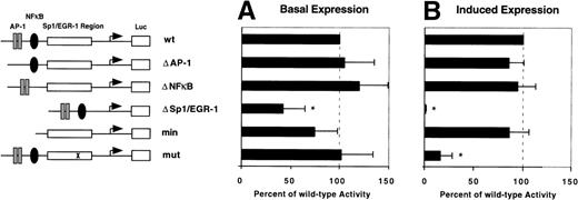 Fig. 7. Identification of the VEGF-responsive region within the TF promoter. Reporter plasmids used in this study are shown schematically (see also Materials and Methods). Luciferase activity of reporter constructs transiently transfected in HUVEC in the absence (A) or presence (B) of VEGF was calculated relative to wild-type (wt) promoter activity designated as 100%. In each experiment values were determined from duplicate wells and normalized for transfection efficiency. Results from three independent experiments are shown as mean values ± SD. *P < .01 versus wt activity.