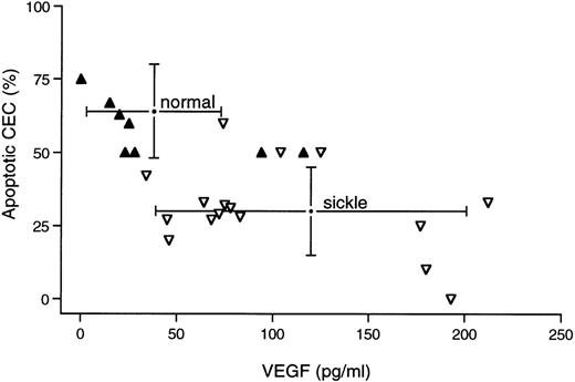 Fig. 2. Relationship between CEC apoptosis and plasma VEGF. Individual data points are shown for all normal (solid symbols, n = 8) and sickle (open symbols, n = 16) donors in whom we simultaneously measured plasma VEGF (in picograms per milliliter) and CEC apoptosis (in percentage of CEC positive by TUNEL and morphology). Brackets show the mean ± SD for all samples tested in the course of these studies for either apoptosis (n = 13 normal and 22 sickle) or VEGF level (n = 15 normal and 21 sickle).