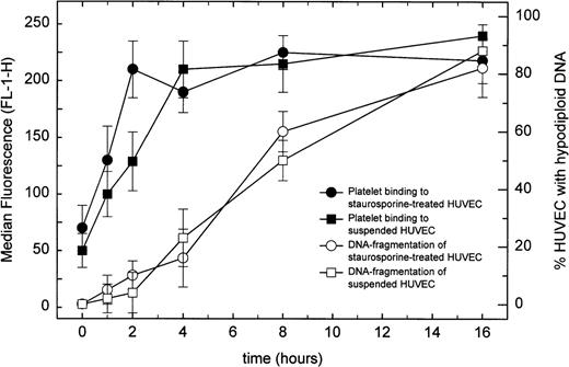Fig. 2. Time-course of platelet binding to apoptotic HUVEC. Washed and calcein-loaded nonactivated platelets were allowed to adhere to HUVEC undergoing apoptosis induced either by staurosporine or by keeping cells in suspension with serum-deprivation. After the adhesion assay, HUVEC were permeabilized and stained for DNA with propidium iodide. HUVEC were then assayed by flow cytometry to determine platelet binding and, simultaneously, apoptosis-induced DNA fragmentation. Platelet binding is expressed as the median fluorescence (FL-1-H) of the entire HUVEC population. DNA fragmentation is expressed as percentage of cells with hypodiploid DNA. A representative experiment of three performed is shown.