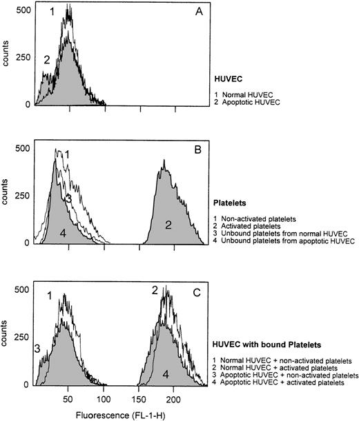 Fig. 6. Expression of P-selectin of platelets and HUVEC. To determine the degree of platelet activation through the contact with apoptotic HUVEC, platelets were tested for the expression of P-selectin. After incubation of the platelets with HUVEC for 20 minutes, the cells (whether adherent or unbound) were stained separately with anti–P-selectin MoAb (WAPS 12.2) followed by an FITC-conjugated anti-mouse MoAb. Cells were then assayed by flow cytometry to determine P-selectin expression. As controls, nonactivated and activated platelets and HUVEC were also measured separately. A representative experiment of three performed is shown.