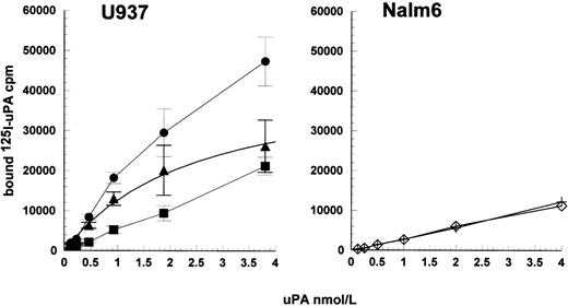 Fig. 7. Radioligand binding studies using 125I-uPA with U937 cells and Nalm6 cells. A low concentration range (up to 4 nmol/L) 125I-uPA was incubated with U937 or Nalm6 cells, at 107 cells/mL. With U937 cells, bound and free radioactivity were separated by centrifugation through sucrose solution and bound uPA counted (•). Nonspecifically bound radioactivity was determined in the presence of excess cold uPA (▪) and specifically bound counts were calculated (▴). Values are shown as mean ± SE, n = 4. Specific binding to Nalm6 cells was negligible as shown by the overlap of the response with 125I-uPA (◊) and125I-uPA plus cold uPA (+).
