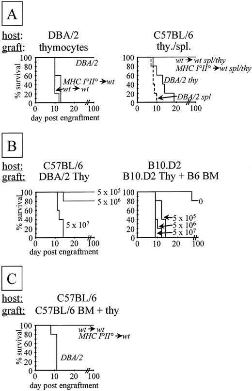 Fig. 3. T cells derived from deletion-deficient chimeras do not induce lethal GVHD. (A) A total of 1.5 × 108 thymocytes or 1.5 × 107 splenocytes were injected IV into sublethally irradiated, anti-NK1.1 antibody-treated hosts. The origin of the T-cell populations is indicated in italics. Survival of the mice was monitored up to 3 months posttransfer. (B) Comparison of GVHD directed to total host (left) or to cotransferred bone marrow cells only (right). (Left) As in (A), but titrated numbers (indicated) of thymocytes were injected. (Right) Lethally irradiated hosts were injected with a mixture of 107 allogeneic bone marrow plus titrated numbers of syngeneic thymocytes. (C) Lethally irradiated, anti-NK1.1 antibody-treated C57BL/6 hosts were injected IV with a mixture of 5 × 106 C57BL/6 bone marrow cells plus 1.5 × 108 thymocytes of indicated origin.