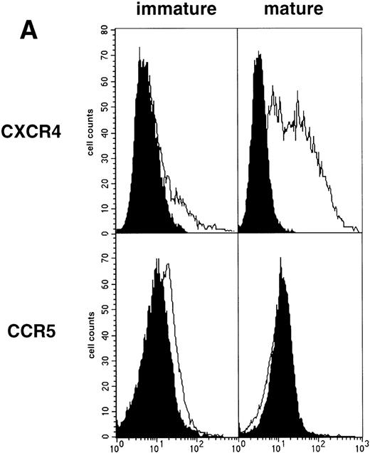 Fig. 4. Permissivity of mature DC to HIV. (A) Expression of HIV coreceptors: Culture day 8 sorted CD1a+ DC were cultured for 48 hours under standard conditions, with or without CD40LT, and labeled with FITC-CCR5 or PE-CXCR4 MoAbs; solid histograms: labeling with an irrelevant MoAb; open histograms: staining by the relevant MoAb; representative data of one of four experiments. (B) Nested PCR detection of viral DNA in HIV-infected mature DC: DC that had been cultured for 48 hours with GM-CSF/TNF-/IL-4 and CD40LT were exposed to HIV-1Ba-L or HIV-1LAI; cell lysates were prepared 48 hours PI. Comparative endpoint dilution analysis was performed as in Fig 2; results of one experiment of five.
