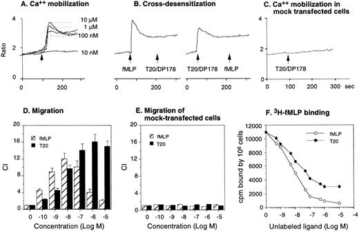 Fig. 3. Activation of FPR by T20/DP178. The FPR-transfected rat basophil cell line ETFR was used to evaluate Ca2+mobilization induced by T20/DP178 (A) and cross-desensitization of cell signaling between T20/DP178 (1 μmol/L) and fMLP (100 nmol/L) (B). T20/DP178 did not induce Ca2+ in mock-transfected parental cells (C). (D) Induction of ETFR cell migration by T20/DP178 and fMLP. (E) T20/DP178 or fMLP did not induce significant migration of mock-transfected cells. (F) Displacement of 3H-fMLP binding to ETFR cells by T20/DP178.