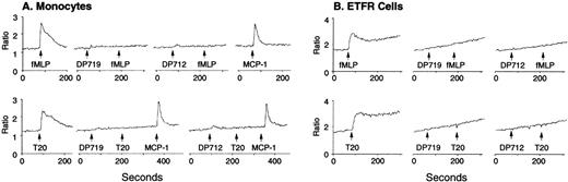 Fig. 5. T20/DP178 analogs attenuate fMLP- or T20/DP178-induced Ca2+ mobilization. Monocytes (A) or ETFR cells (B) were loaded with Fura-2 and then were sequentially stimulated with T20/DP178 analogs T719 or T712 (50 μmol/L) and fMLP (100 nmol/L) or T20/DP178 (100 nmol/L). Chemokine MCP-1 (100 nmol/L) was used to indicate the specificity of T719 or T712 (A).