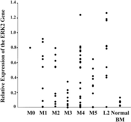 Fig. 2. Relative expression of the ERK2 gene in acute leukemia and normal BM samples. The value of ERK2 gene expression in individual samples was obtained as described in the text (defined in K562 cells as 1.00).