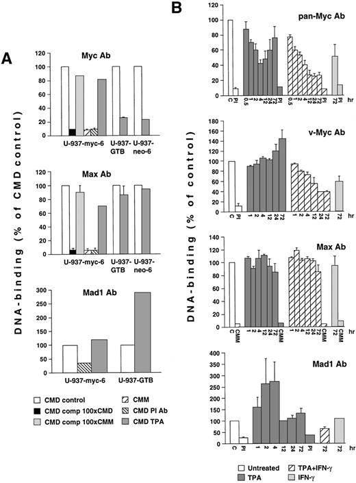 Fig. 4. Analysis of the DNA-binding activity of Myc, Mad1, and Max complexes during induced differentiation of U-937 cells. (A) Lysates from untreated U-937-myc-6, U-937-neo-6, and U-937-GTB cells or cells induced by TPA for 3 days were subjected to SODA.33The lysates were immunoprecipitated under low stringency conditions by using specific antisera and incubated with 32P-labeled CMD oligonucleotide, containing a Myc/Mac binding site or a mutated version (CMM) after which the amount of bound oligonucleotide was measured. The specificity was determined by competition with an excess of cold CMD or CMM oligonucleotide and by using preimmune (PI) serum. (B) Kinetic study of the DNA binding of total Myc-, v-Myc-, and total Max-containing and Mad1-containing complexes during differentiation of U-937-myc-6 cells. The cells were induced with TPA, IFN-γ, or the TPA + IFN-γ for the indicated time and subjected to SODA as in (A). The antisera used in (A) and (B) were IG-13 (anti-pan-Myc), 5042 (anti-chicken Myc), 266-4 (anti-Mad1) or 91-4 (anti-Max). The results are presented as a percentage of untreated cells. The error bars represent the standard deviations of the means from at least three independent experiments.