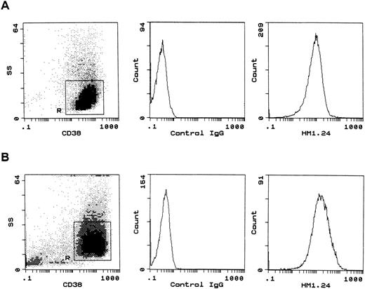 Fig. 3. Flow cytometric analysis of HM1.24 expression on myeloma cells. RPMI 8226 (A) and BMMCs from patient no. 1 (B) were stained with biotin-labeled isotype control IgG or anti-HM1.24 MoAb, and PE-conjugated anti-CD38 MoAb, and then with streptavidin-RED 670. Myeloma cell regions (R) were gated for further analysis according to the side scatter (SS) profile and CD38 expression. BMMCs from patient no. 1 contained 95% of CD38+ myeloma cells (B). The MSFI was calculated as the ratio of mean fluorescence channel of anti-HM1.24 MoAb/control IgG.
