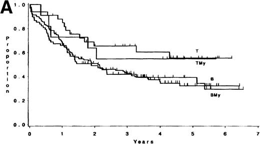 Fig. 1. (A) Survival for 250 adults with ALL according to expression of only B (n = 138) or T (n = 33) antigens or B + myeloid (n = 68) or T + myeloid (n = 11) antigens. There were no differences between the B and BMy patients (P = .84) and the T and TMy patients (P = .81). (B) DFS for 212 adults with ALL according to expression of only B (n = 121) or T (n = 29) antigens or B + myeloid (n = 53) or T + myeloid (n = 9) antigens. There were no differences between the B and BMy patients (P = .82), and the T and TMy patients (P = .53).